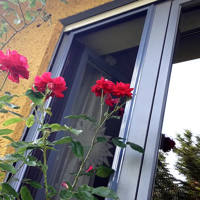 Insektenschutz Spannrahmen Taubenblau